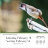 image Songbirds 2025 Desk Calendar Third Alternate