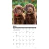 image Just Lab Puppies 2025 Wall Calendar