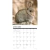 image Bunnies 2025 Wall Calendar Second Alternate Image width=&quot;1000&quot; height=&quot;1000&quot;