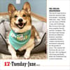 image 365 Dogs 2025 Page-A-Day Desk Calendar First Alternate Image width=&quot;1000&quot; height=&quot;1000&quot;