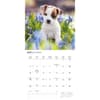 image Puppy Love 2025 Wall Calendar Third Alternate Image width=&quot;1000&quot; height=&quot;1000&quot;