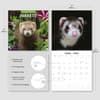 image Ferrets 2027 Wall Calendar Third Alternate Image