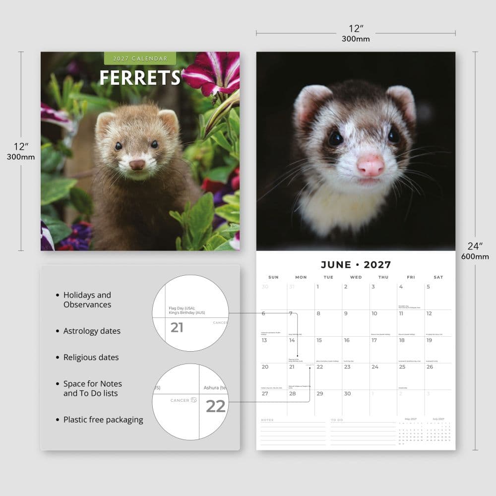 Ferrets 2027 Wall Calendar Third Alternate Image