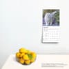 image Cat Lovers 2025 Mini Wall Calendar Fourth Alternate Image