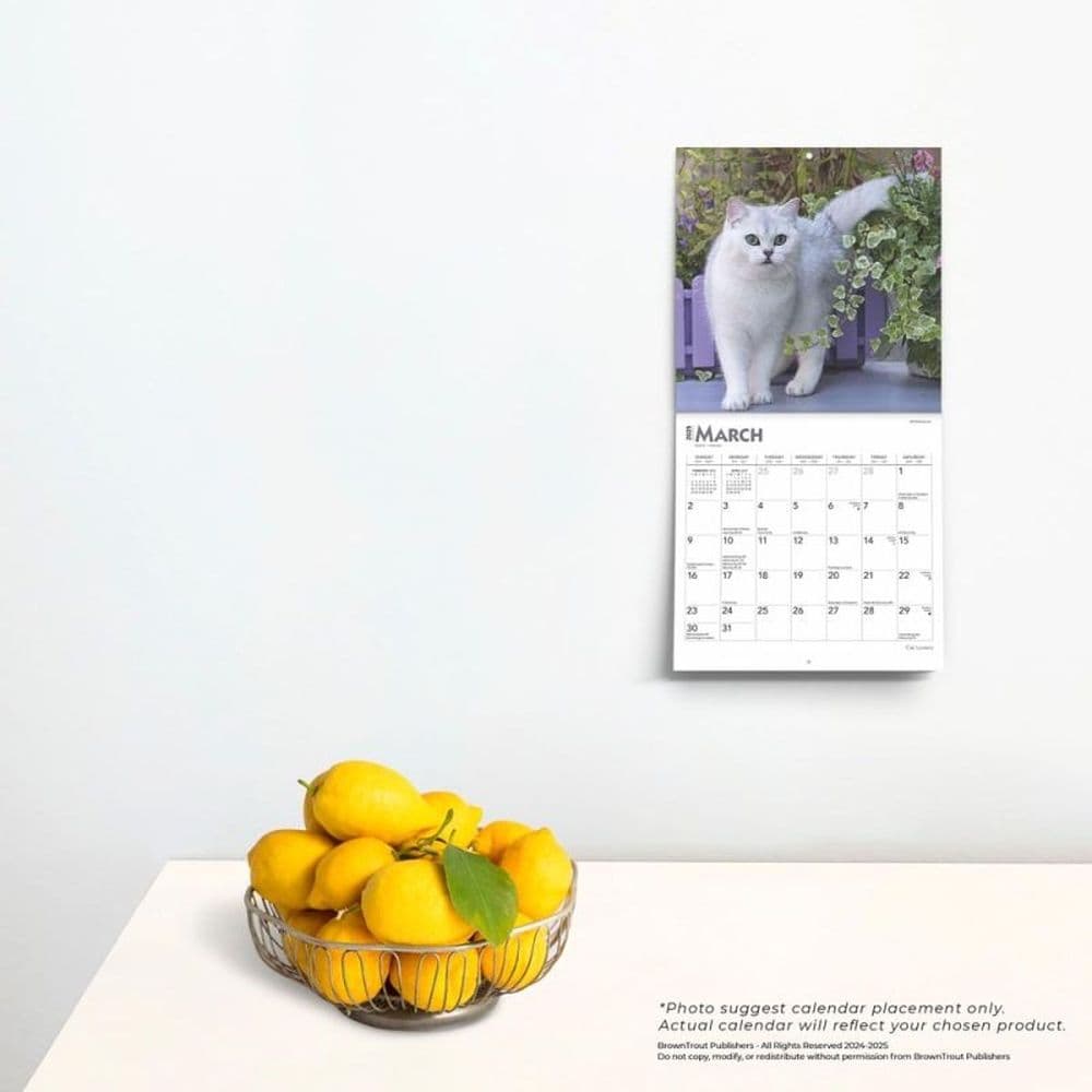 Cat Lovers 2025 Mini Wall Calendar Fourth Alternate Image