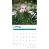 image Hamsters 2025 Wall Calendar Second Alternate Image