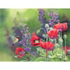 image Flavors Of Summer 4" x 5" Blank Assorted Boxed Note Cards by Susan Bourdet Alternate Image 2