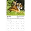 image Tigers WWF 2026 Wall Calendar Third Alternate Image