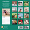 image Bulldog Puppies 2025 Wall Calendar First Alternate Image