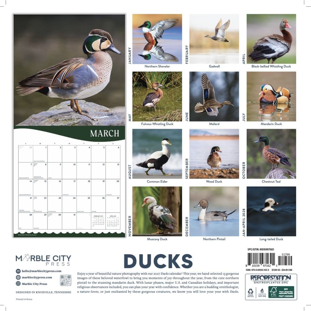 Ducks 2027 Wall Calendar First Alternate Image