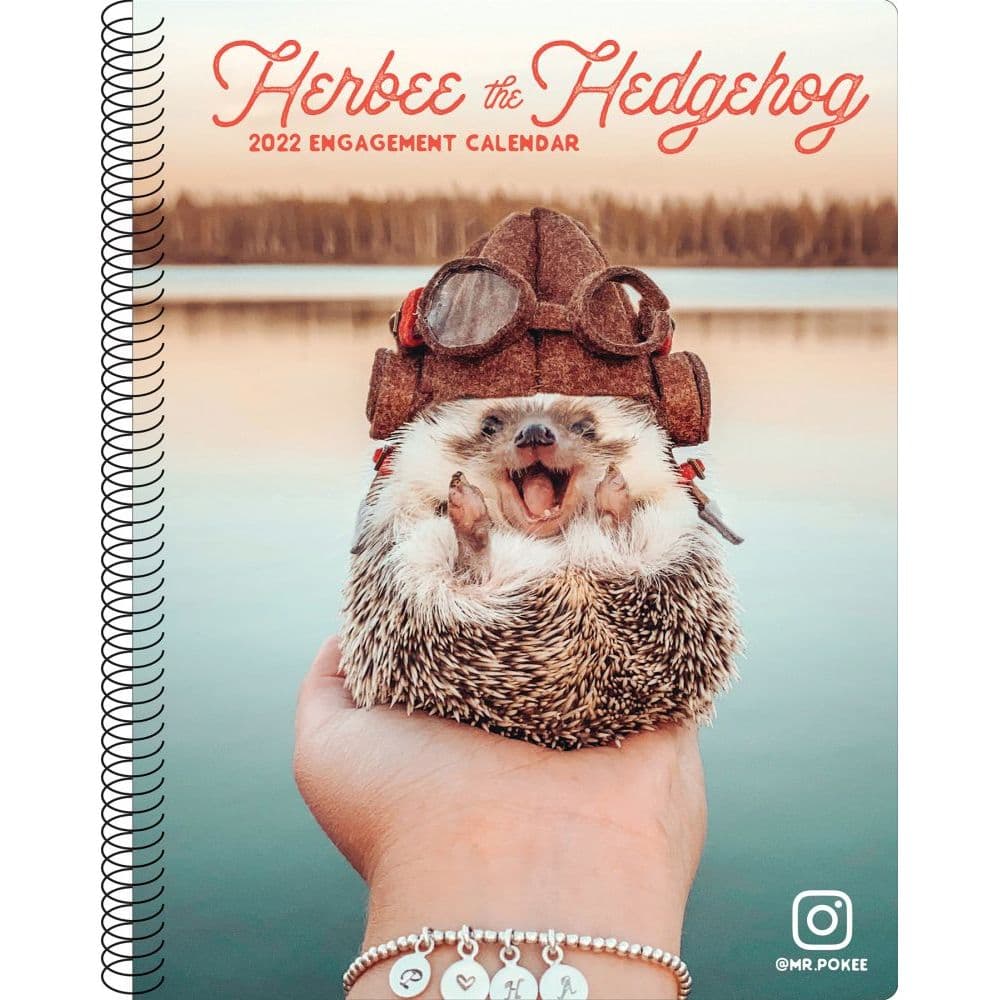 Herbee the Hedgehog 2022 Engagement Calendar