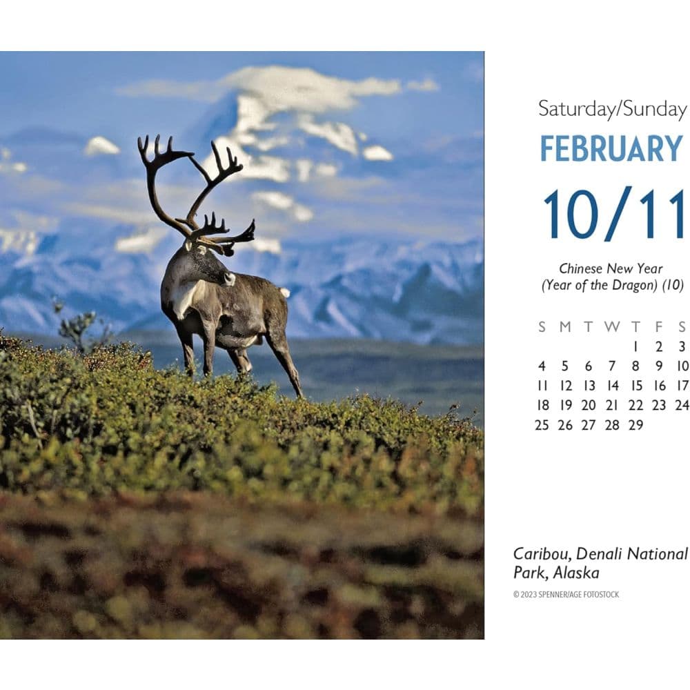 Americas National Parks 2024 Desk Calendar Third Alternate Image width=&quot;1000&quot; height=&quot;1000&quot;