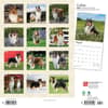 image Collies 2024 Wall Calendar First Alternate Image width=&quot;1000&quot; height=&quot;1000&quot;
