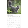 image Maine Coon Cats 2025 Wall Calendar Third Alternate Image