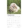 image Golden Retriever Puppies 2025 Wall Calendar