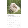 image Golden Retriever Puppies 2025 Wall Calendar