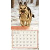 image Love of Dogs by John Silver 2025 Wall Calendar Second Alternate Image width=&quot;1000&quot; height=&quot;1000&quot;