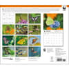 image Butterflies WWF 2025 Wall Calendar First Alternate Image width=&quot;1000&quot; height=&quot;1000&quot;