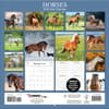 image Horses Photo 2025 Wall Calendar