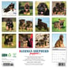 image Just German Shepherd Puppies 2025 Wall Calendar First Alternate Image width=&quot;1000&quot; height=&quot;1000&quot;