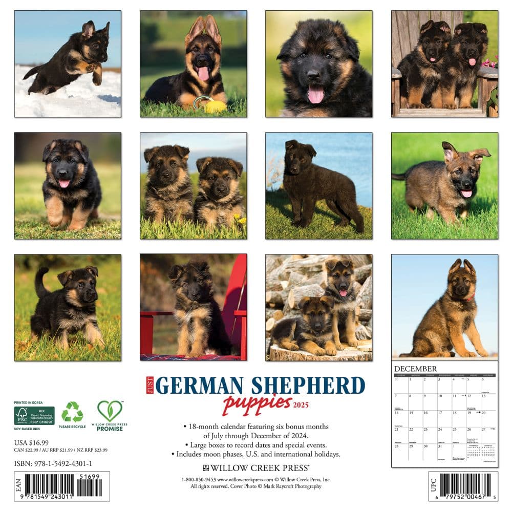 Just German Shepherd Puppies 2025 Wall Calendar First Alternate Image width=&quot;1000&quot; height=&quot;1000&quot;