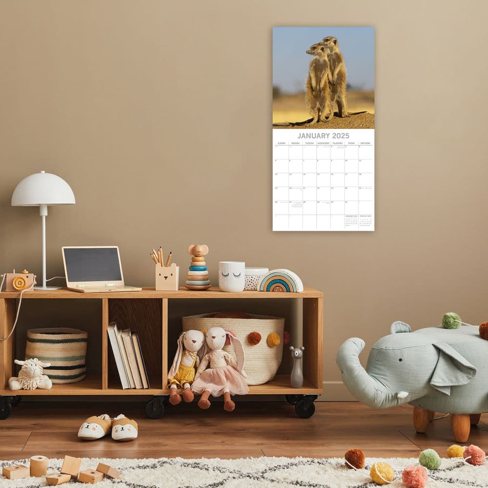 Meerkats 2025 Wall Calendar Second Alternate Image width=&quot;1000&quot; height=&quot;1000&quot;