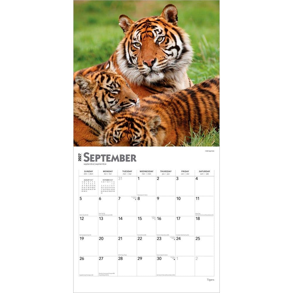 Tigers 2027 Wall Calendar Third Alternate Image