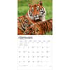 image Tigers 2027 Wall Calendar Third Alternate Image