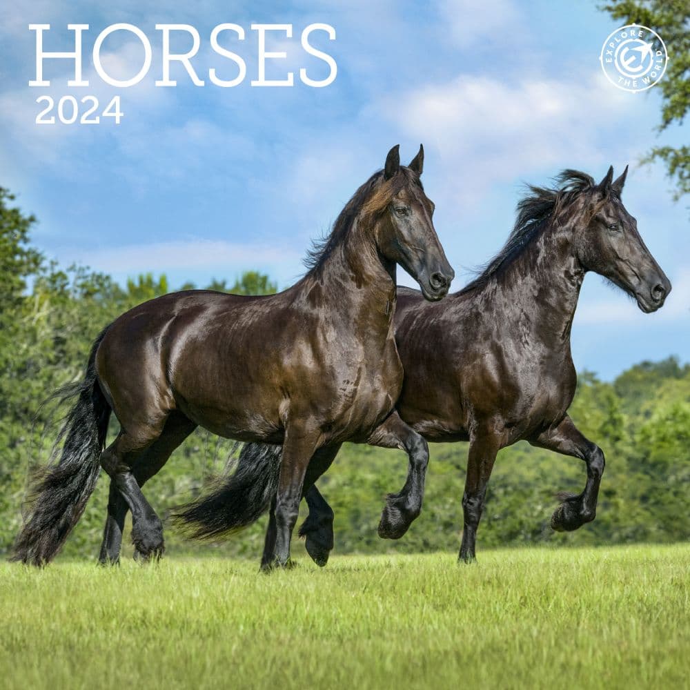 Horses 2024 Mini Wall Calendar