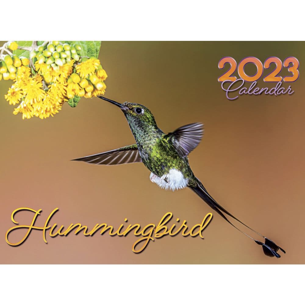 Smith-Southwestern Hummingbird 2023 Wall Calendar
