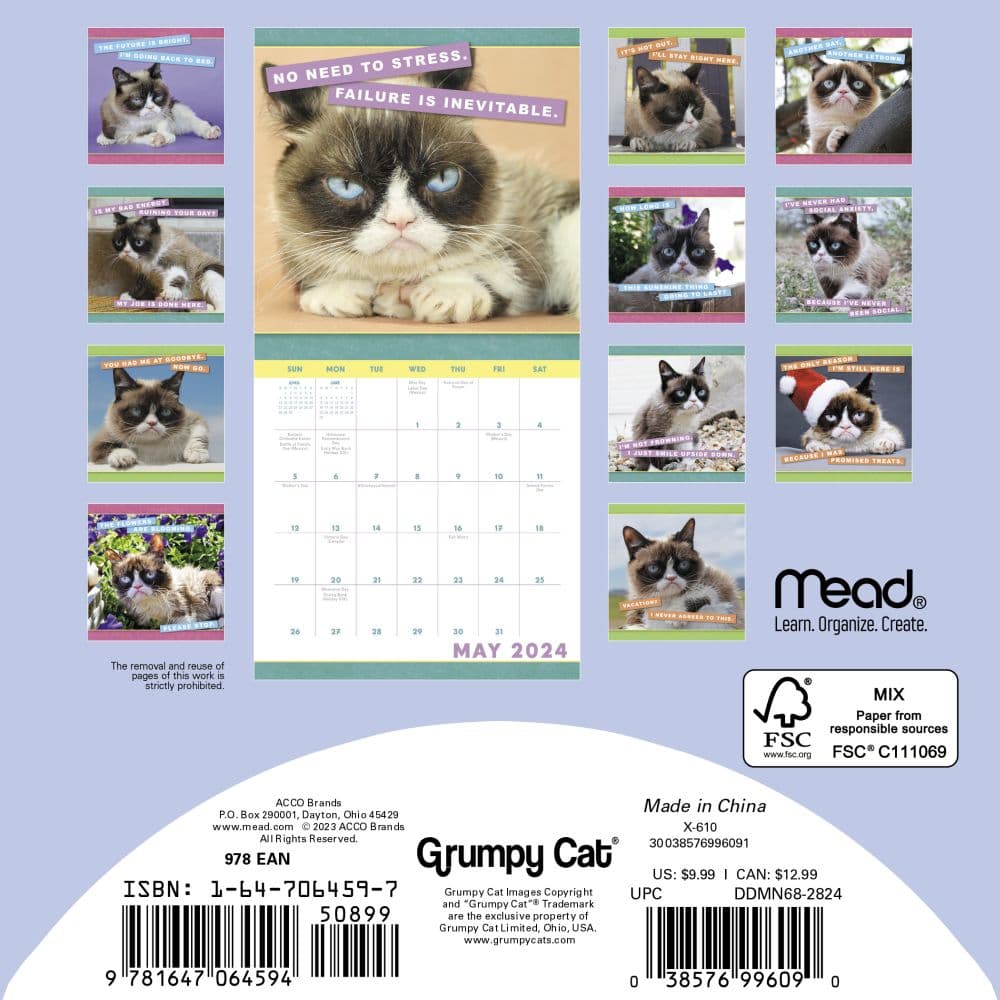 Grumpy Cat 2025 Mini Wall Calendar