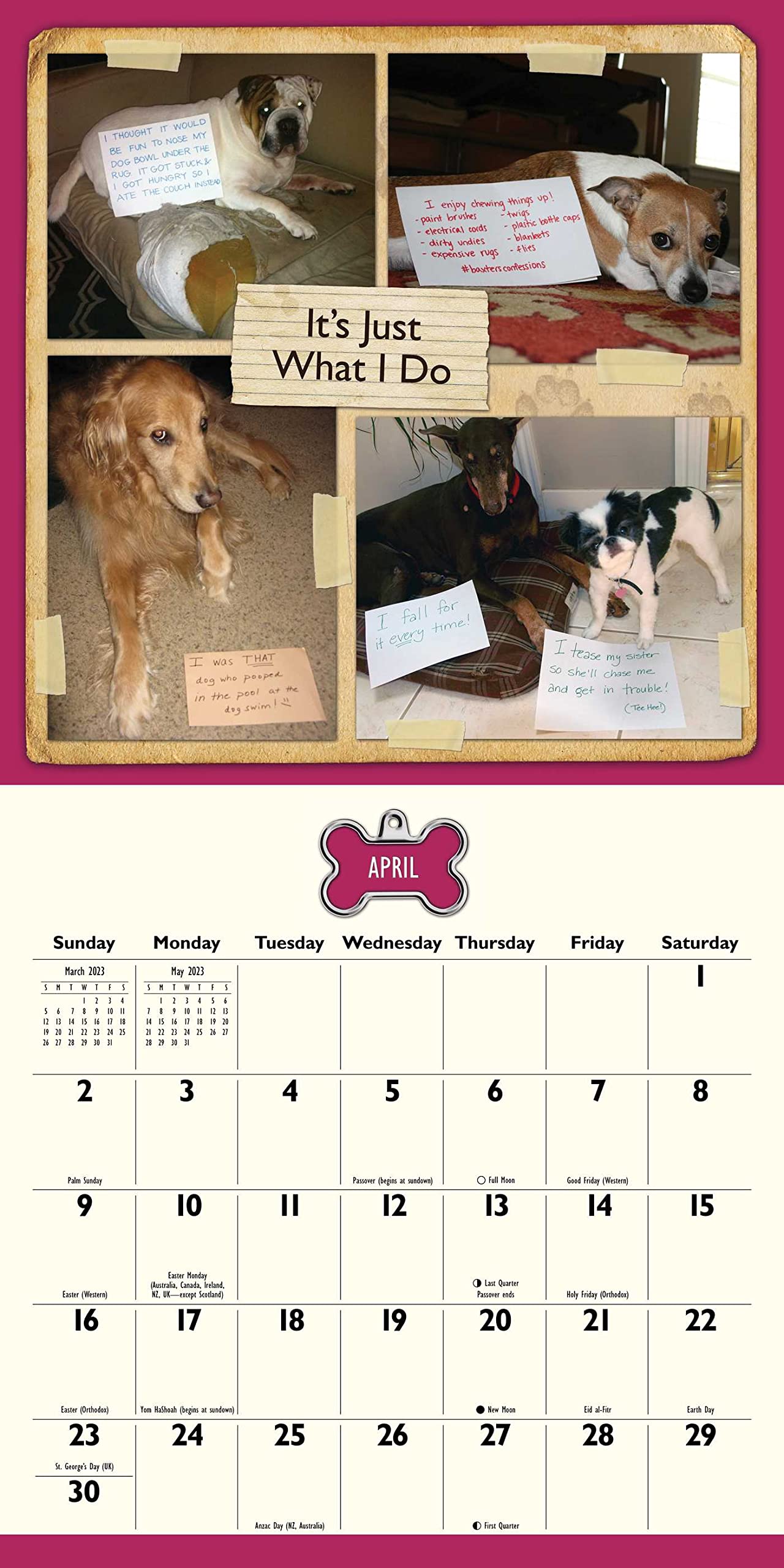 Dog Shaming 2023 Wall Calendar - Calendars.com