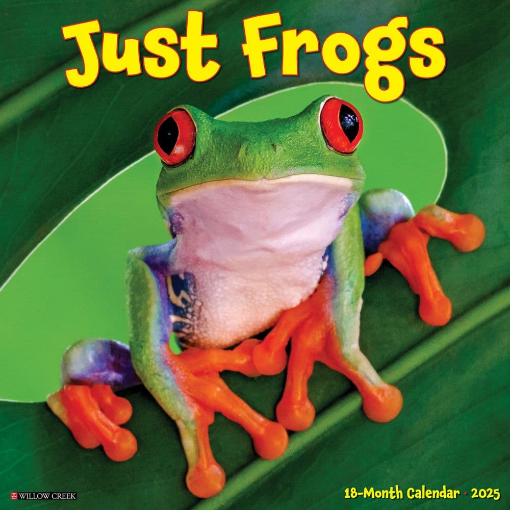 Frogs 2025 Wall Calendar Main Image