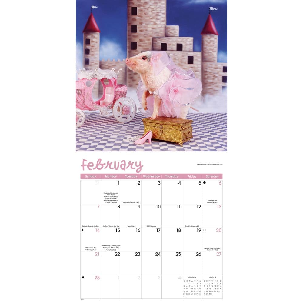 Playful Pigs 2027 Wall Calendar Second Alternate Image