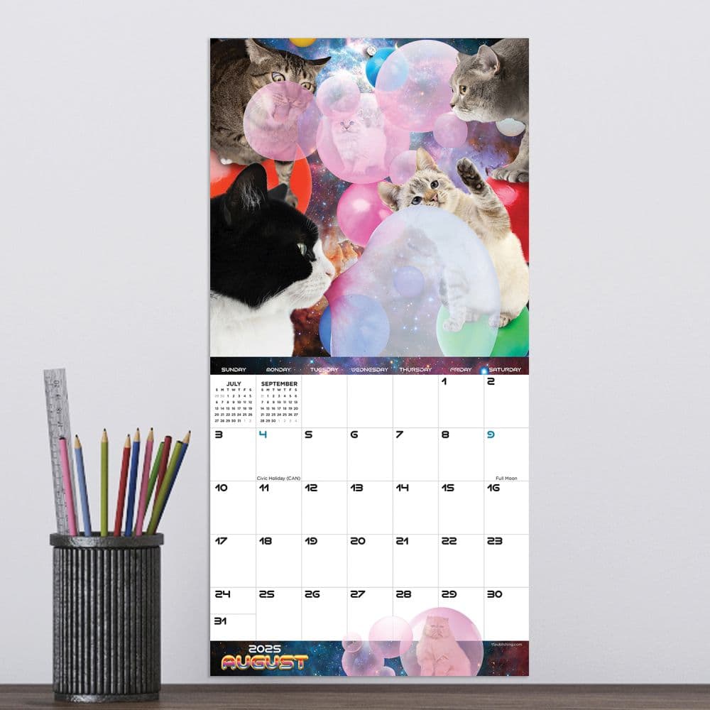 Space Cats 2025 Mini Wall Calendar Second Alternate