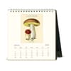 image Mushrooms 2024 Easel Desk Calendar Second Alternate Image width=&quot;1000&quot; height=&quot;1000&quot;