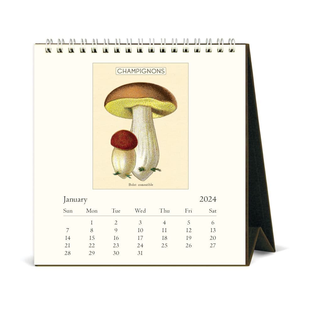 Mushrooms 2024 Easel Desk Calendar Second Alternate Image width=&quot;1000&quot; height=&quot;1000&quot;
