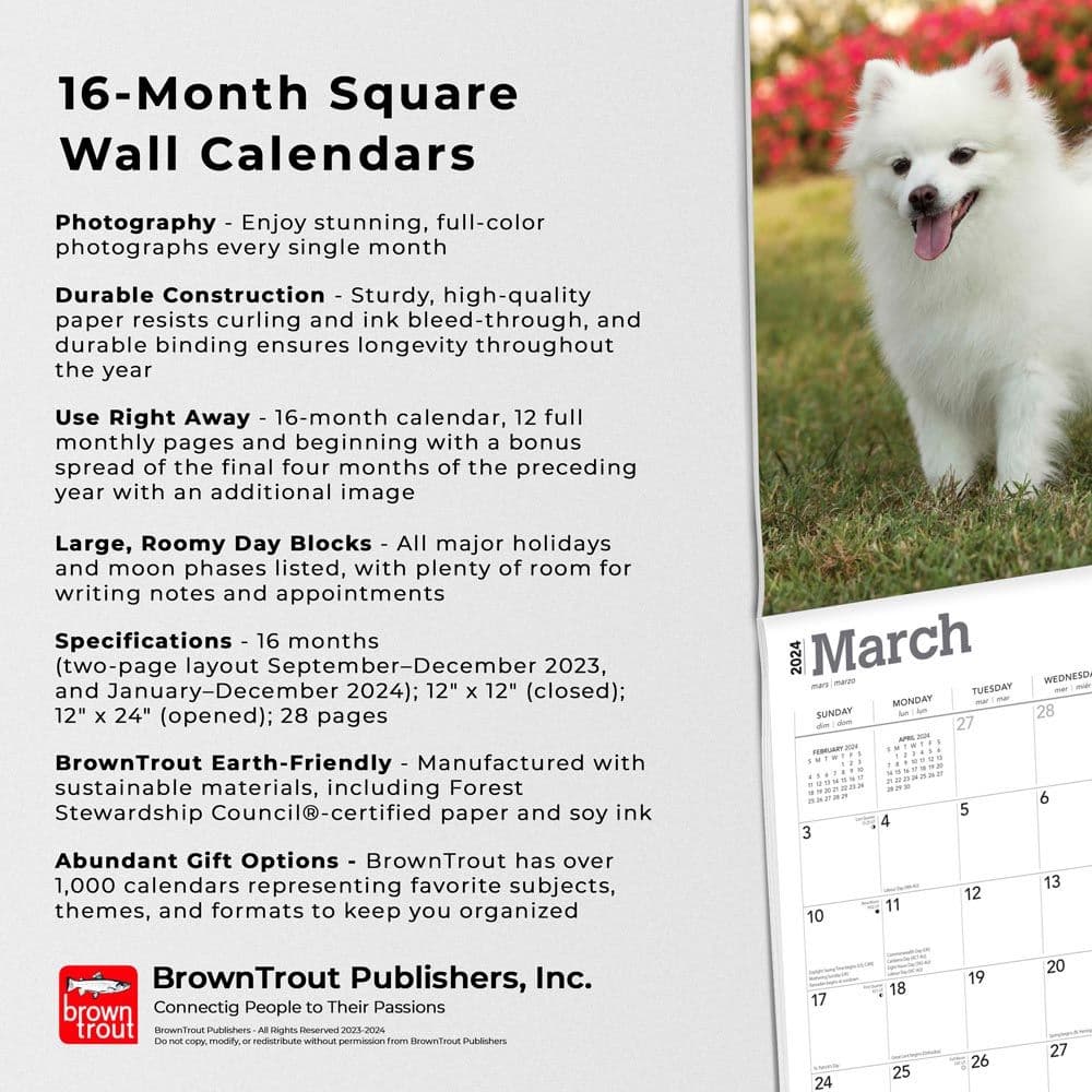 American Eskimo Dogs 2024 Wall Calendar