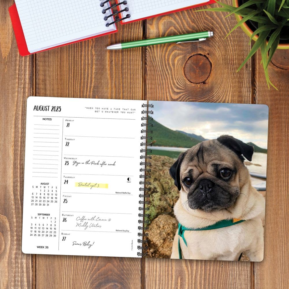 Doug The Pug Calendar 2023 - Customize and Print