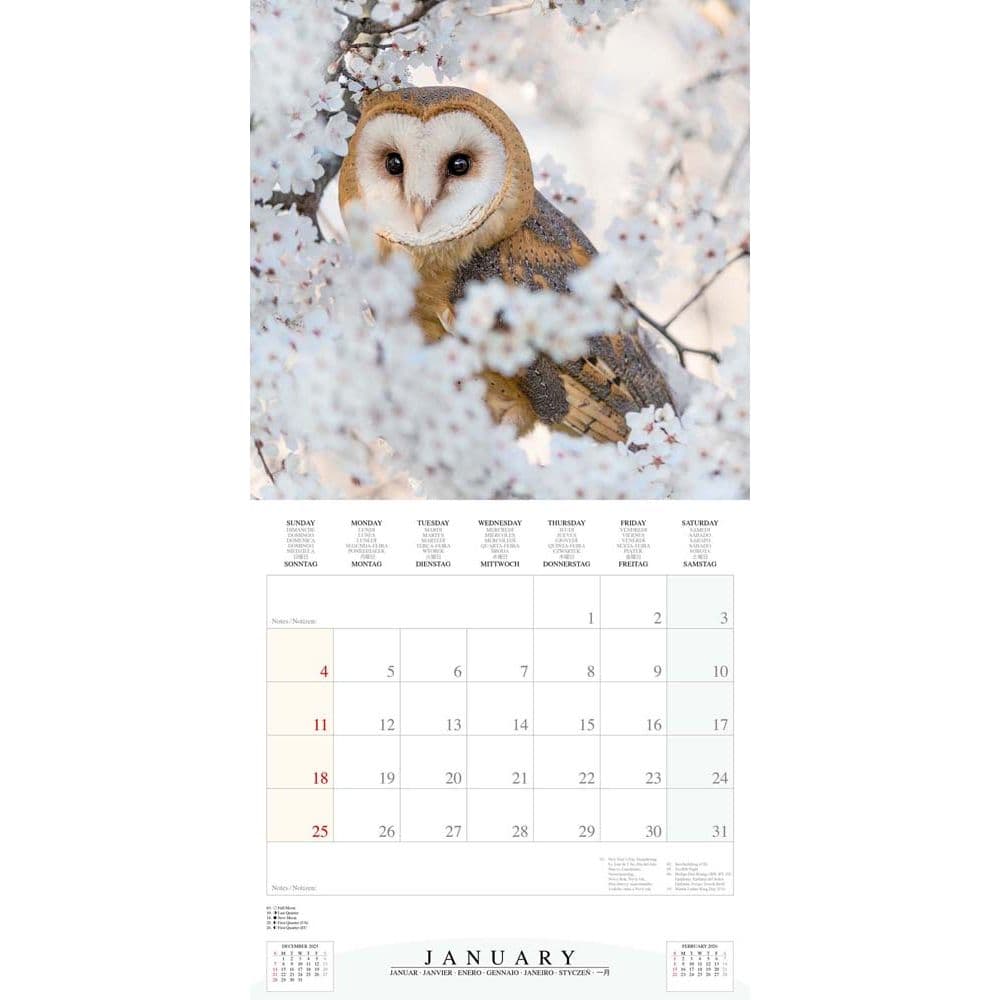 Magic Owls 2026 Wall Calendar Second Alternate Image