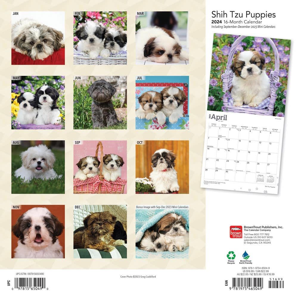 Shih Tzu Puppies 2024 Wall Calendar Alternate Image 1
