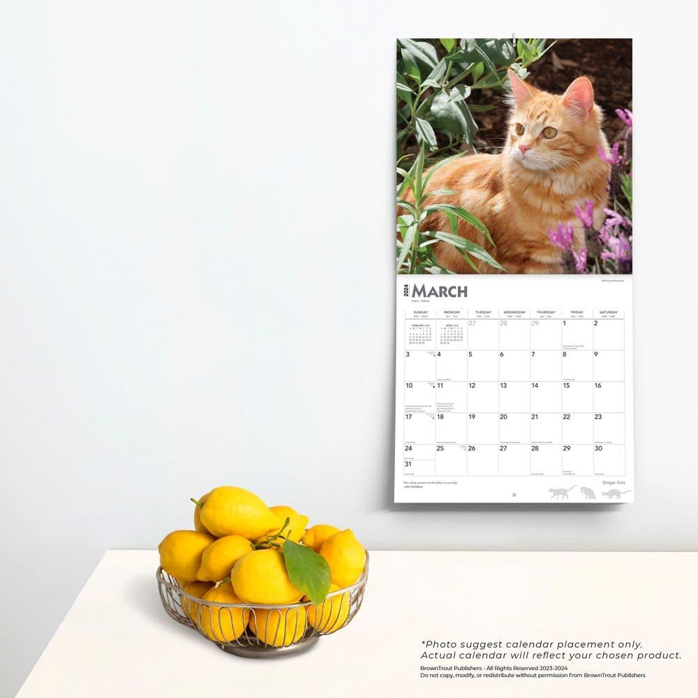 Ginger Cats 2024 Wall Calendar Third Alternate Image width=&quot;1000&quot; height=&quot;1000&quot;