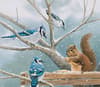 image Songbirds 2024 Desktop Wallpaper