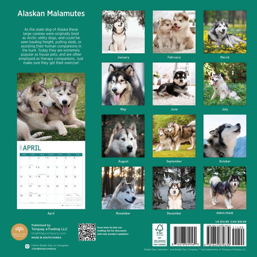 Alaskan Malamutes 2024 Wall Calendar First Alternate Image width=&quot;1000&quot; height=&quot;1000&quot;