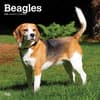 image Beagles 2025 Wall Calendar Main Product Image width=&quot;1000&quot; height=&quot;1000&quot;