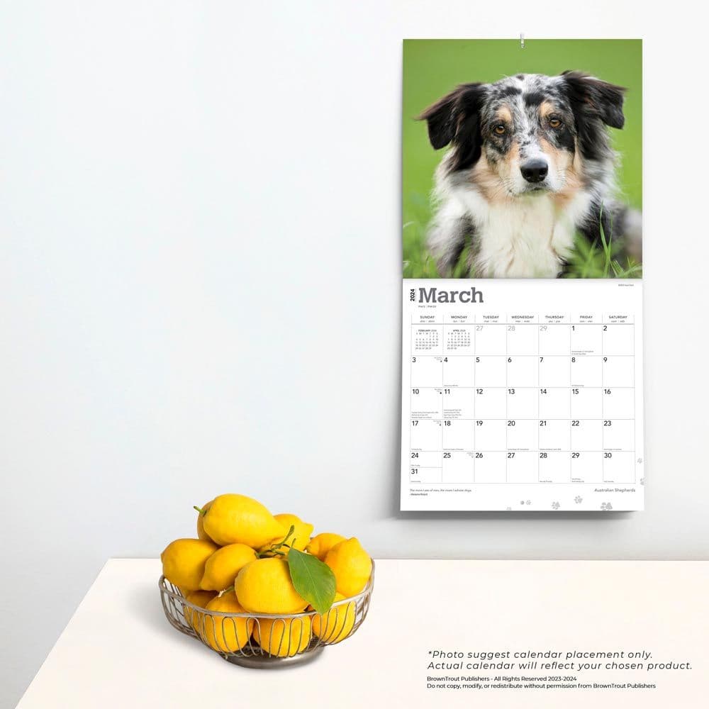 Australian Shepherds 2024 Wall Calendar