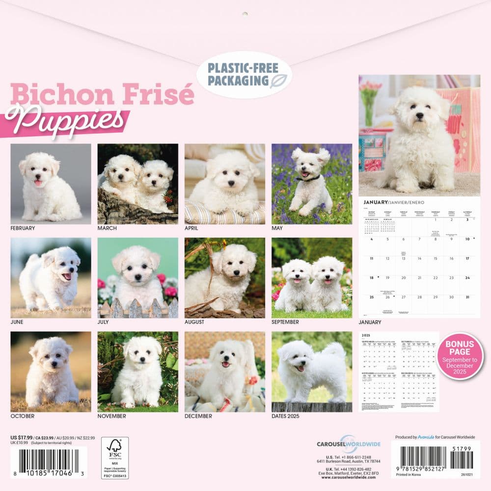 Bichon Frise Puppies 2026 Wall Calendar First Alternate Image