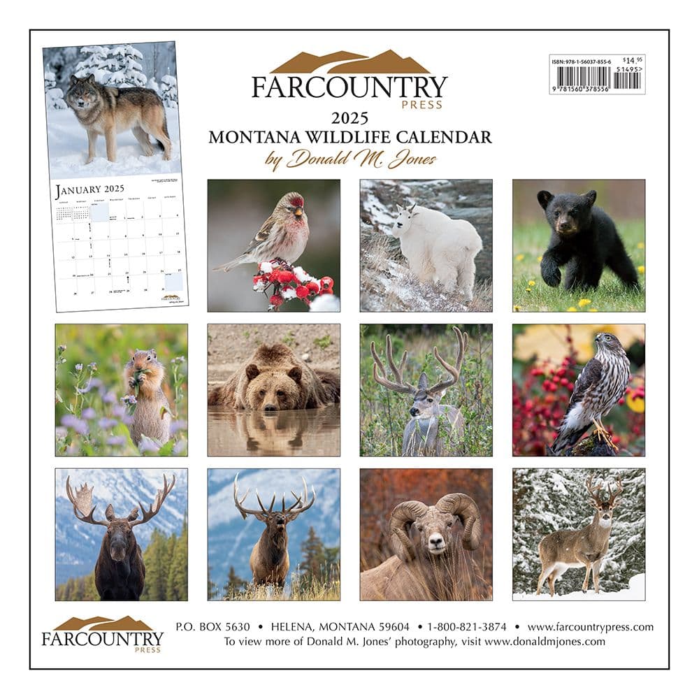 Montana Wildlife 2025 Wall Calendar_First Alternate Image