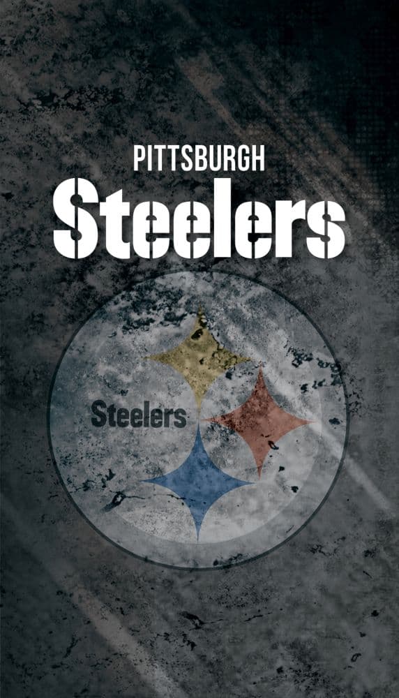 Pittsburgh Steelers Password Journal Main Image