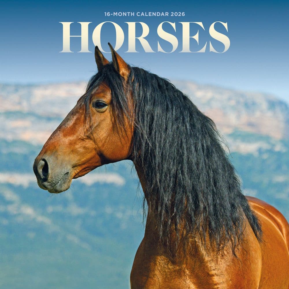 Horses 2026 Mini Wall Calendar  Main Image